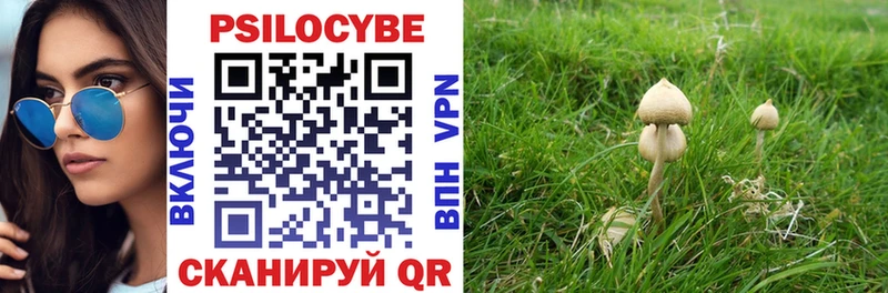 где можно купить Йошкар-Ола маркетплейс состав Псилоцибиновые грибы MAGIC MUSHROOMS