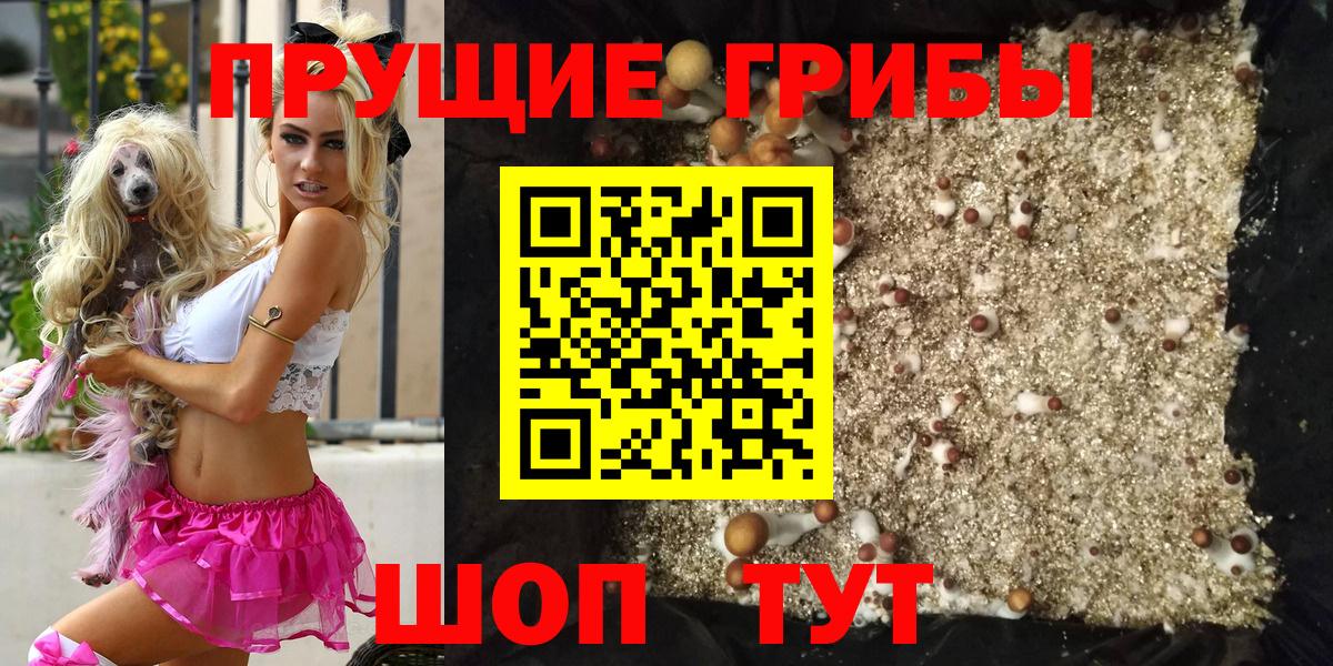 Псилоцибиновые грибы мицелий  Вход с VPN  Псилоцибиновые грибы мицелий  Йошкар-Ола 